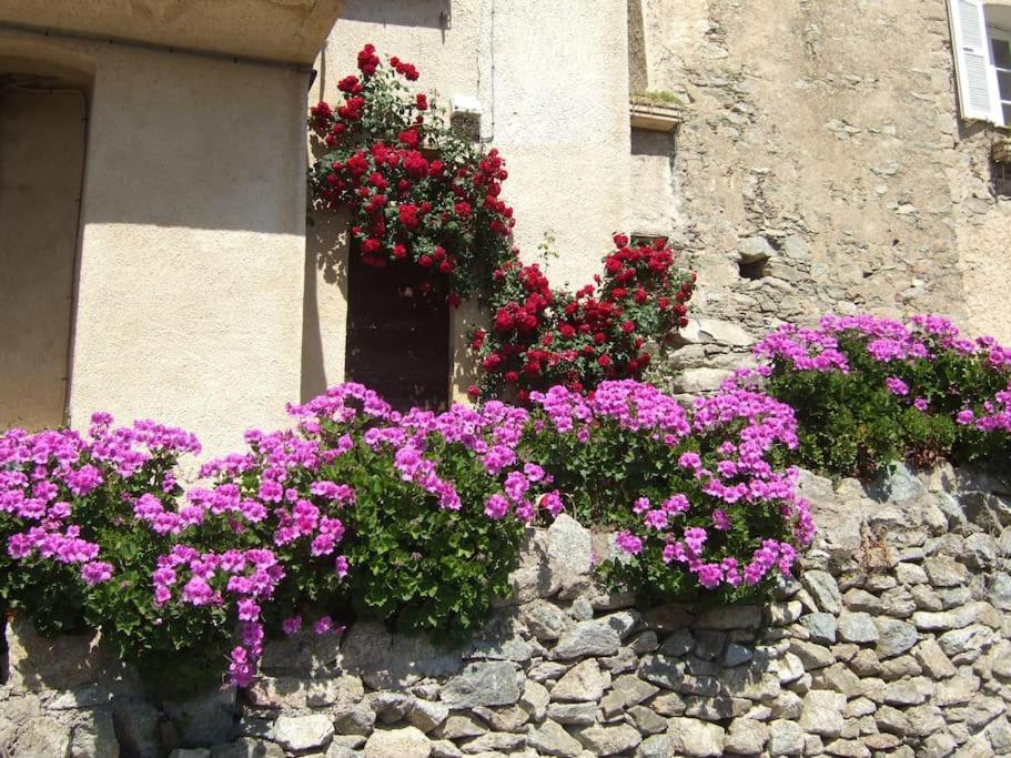 Vos vacances à Lama  Exterior foto